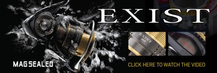 Daiwa Exist